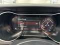 Ford Mustang 5.0 GT Cabrio Premium/Digi-Tacho/B&o/ACC Rot - thumbnail 36