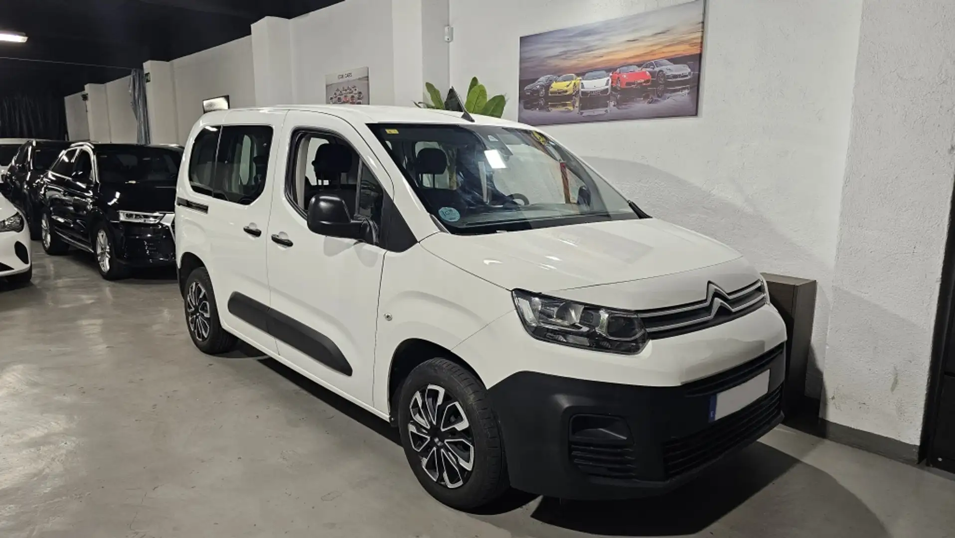Citroen Berlingo BlueHDi Talla M Live 75 Blanc - 1