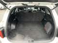 Kia Sorento 1.6 T-GDI Plug-in Hybrid 4WD ExecutiveLine | Full - thumbnail 12