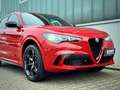 Alfa Romeo Stelvio 2.9 V6 Quadrifoglio Q4 Rot - thumbnail 12