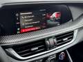 Alfa Romeo Stelvio 2.9 V6 Quadrifoglio Q4 Rot - thumbnail 20