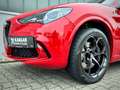 Alfa Romeo Stelvio 2.9 V6 Quadrifoglio Q4 Rot - thumbnail 8