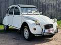 Citroen 2CV Wit - thumbnail 1