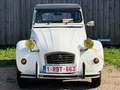 Citroen 2CV Wit - thumbnail 2