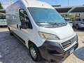 Fiat Ducato 35 2.3 MJT 130CV PLM-TM Furgone Maxi Blanc - thumbnail 1