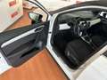 SEAT Arona 1.6TDI CR S&S Xcellence 115 Bianco - thumbnail 5