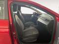 SEAT Ibiza 1.6 TDI 80 CV 5p. Business Rosso - thumbnail 14