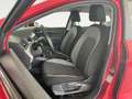 SEAT Ibiza 1.6 TDI 80 CV 5p. Business Rosso - thumbnail 9