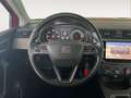 SEAT Ibiza 1.6 TDI 80 CV 5p. Business Rosso - thumbnail 11