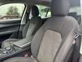 Alfa Romeo Stelvio 2.2 RWD Aut. 150 Rouge - thumbnail 19