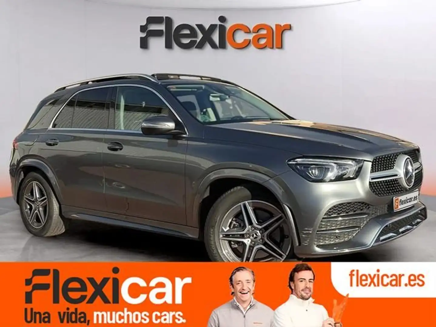 Mercedes-Benz GLE 300 300d 4Matic Aut. Gris - 1