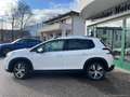 Peugeot 2008 BlueHDi 120 S&S Allure Weiß - thumbnail 2