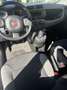 Fiat Panda Panda 1.0 hybrid Easy s&s 70cv(prezzo reale) Gris - thumbnail 7