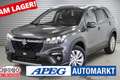 Suzuki SX4 S-Cross 1,4 2WD MT Mild-Hybrid GL+ Grau - thumbnail 1