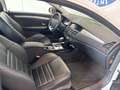 Renault Laguna III COUPE 2.0 TCE DYNAMIQUE Bianco - thumbnail 7