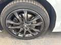 Renault Laguna III COUPE 2.0 TCE DYNAMIQUE Bianco - thumbnail 16
