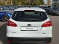 Ford Focus BUSINESS/NAVI/PARKSENSOR/APPLE CAR PLAY Wit - thumbnail 5