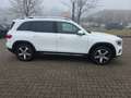 Mercedes-Benz GLB 220 d Progressive Ambiente Panoramadach Navi Blanc - thumbnail 8