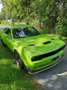 Dodge Challenger Challenger Schaltgetriebe Verde - thumbnail 1