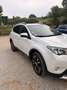 Toyota RAV 4 RAV-4 150D Executive AWD Executive Blanco - thumbnail 2
