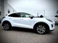 Ford Puma Titanium 1,0 EcoBoost Hybrid 125PS LEASING AKTION Weiß - thumbnail 5