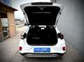 Ford Puma Titanium 1,0 EcoBoost Hybrid 125PS LEASING AKTION Weiß - thumbnail 14
