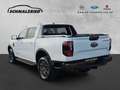 Ford Ranger Wildtrak e-4WD AHK Navi Leder Digitales Cockpit B Weiß - thumbnail 3