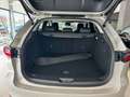 Mazda CX-60 Homura 254 PS *Pano*Convenience/Sound/DA-Paket* Beige - thumbnail 8
