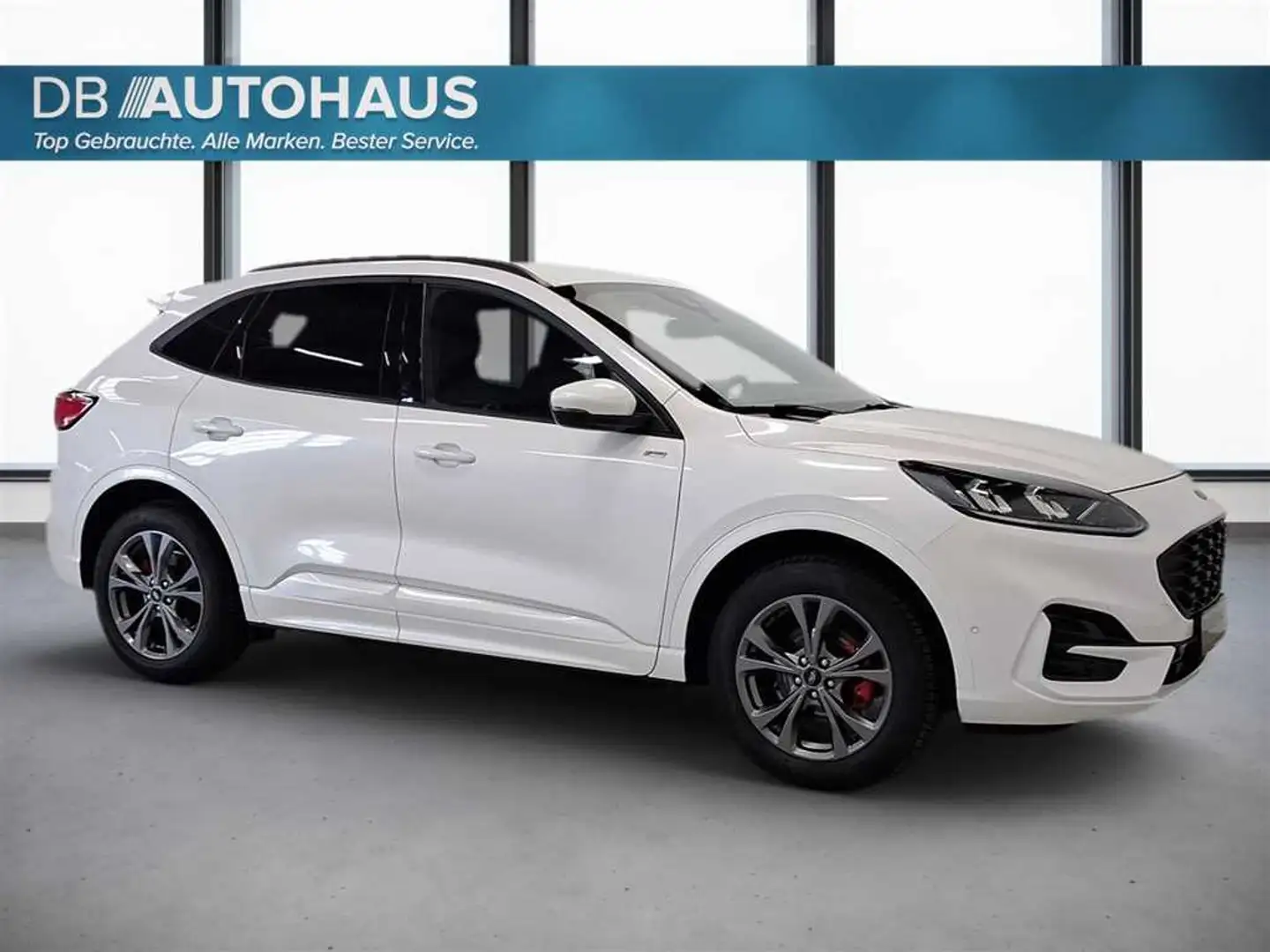 Ford Kuga ST-Line 2.5 DuraTec PHEV Autom Weiß - 2