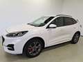 Ford Kuga ST-Line 2.5 DuraTec PHEV Autom Weiß - thumbnail 21