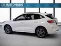 Ford Kuga ST-Line 2.5 DuraTec PHEV Autom Weiß - thumbnail 6