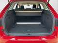 Skoda Superb Combi Style 1.5 TSI Navi digiCock Kamera Memory Si Rot - thumbnail 19