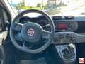 Fiat Panda 1.2 Easy easypower Gpl 69cv my19 Gris - thumbnail 8