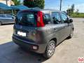 Fiat Panda 1.2 Easy easypower Gpl 69cv my19 Gris - thumbnail 5