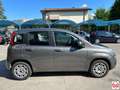 Fiat Panda 1.2 Easy easypower Gpl 69cv my19 Gris - thumbnail 6
