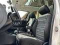 Skoda Roomster Family Pano Temp Shz Klima AHK Weiß - thumbnail 20