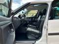 Skoda Roomster Family Pano Temp Shz Klima AHK Weiß - thumbnail 10