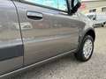 Fiat Panda Panda 1.2 4x4 Climbing Gris - thumbnail 5