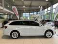 Skoda Octavia Combi 2,0 TDI Selection AHK Lade App Sun Weiß - thumbnail 37