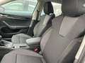 Skoda Octavia Combi 2,0 TDI Selection AHK Lade App Sun Weiß - thumbnail 16