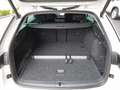 Skoda Octavia Combi 2,0 TDI Selection AHK Lade App Sun Weiß - thumbnail 11