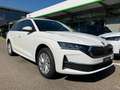 Skoda Octavia Combi 2,0 TDI Selection AHK Lade App Sun Weiß - thumbnail 14