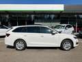 Skoda Octavia Combi 2,0 TDI Selection AHK Lade App Sun Weiß - thumbnail 13
