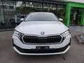 Skoda Octavia Combi 2,0 TDI Selection AHK Lade App Sun Weiß - thumbnail 9