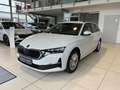 Skoda Octavia Combi 2,0 TDI Selection AHK Lade App Sun Weiß - thumbnail 39