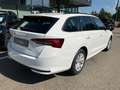 Skoda Octavia Combi 2,0 TDI Selection AHK Lade App Sun Weiß - thumbnail 15