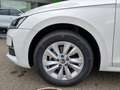 Skoda Octavia Combi 2,0 TDI Selection AHK Lade App Sun Weiß - thumbnail 12