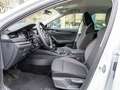 Skoda Octavia Combi 2,0 TDI Selection AHK Lade App Sun Weiß - thumbnail 4