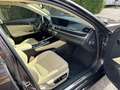 Lexus GS 450h GS 450h 450h Edition Marrón - thumbnail 10