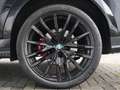 BMW X6 X6 xDrive30d M SPORTPAKET-BLACK EDITION-PANO-22M Schwarz - thumbnail 42